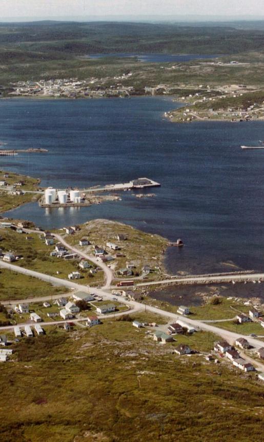 Bird's Eye View of St. Anthony, Newfoundland