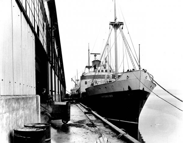 Image: black and white, SS Baccalieu